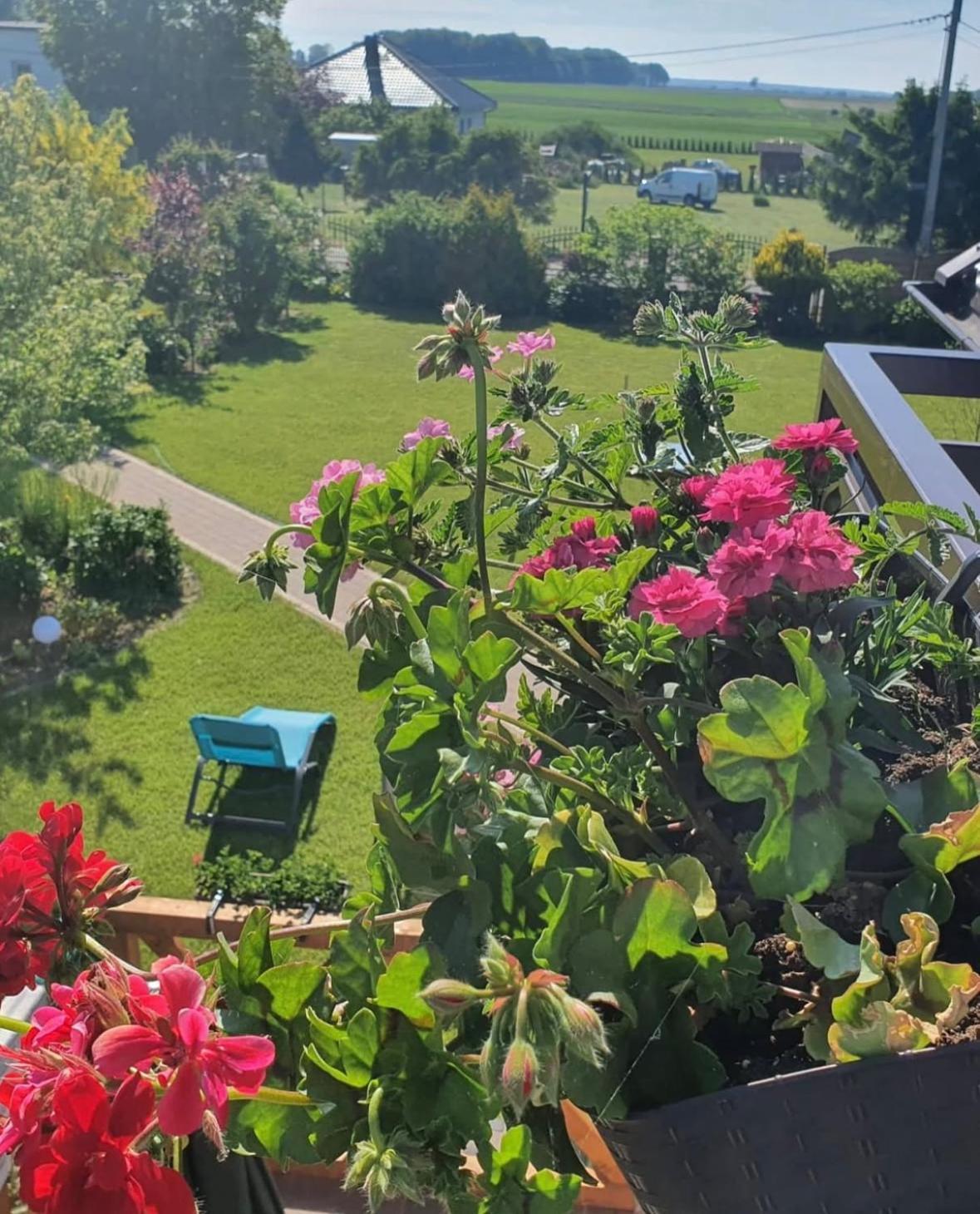 Apartamenty Na Baltyckiej Choczewo Esterno foto