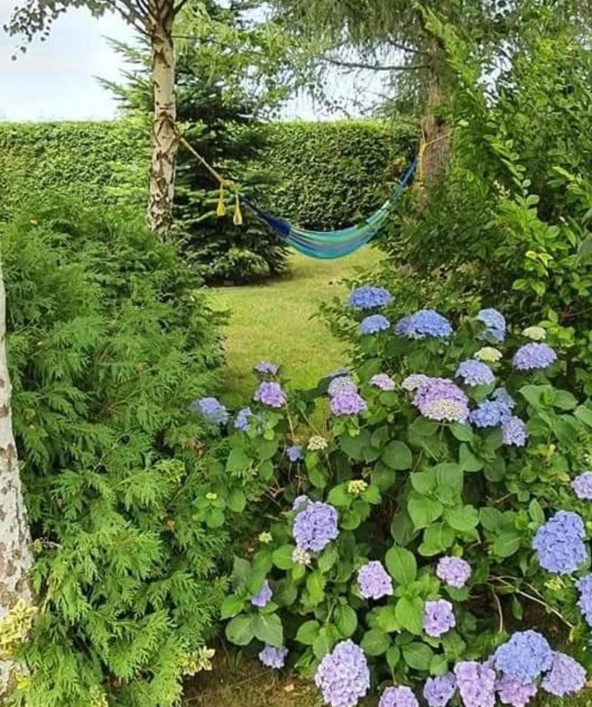 Apartamenty Na Baltyckiej Choczewo Esterno foto